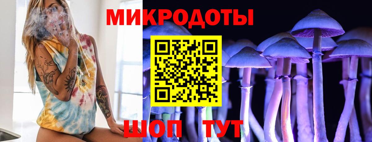Псилоцибиновые грибы Cubensis  Галлюциногенные грибы MAGIC MUSHROOMS  что такое   Наро-Фоминск  Вход с VPN 